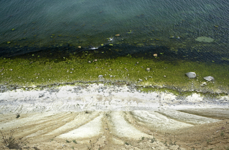 Steilküste Rügen I